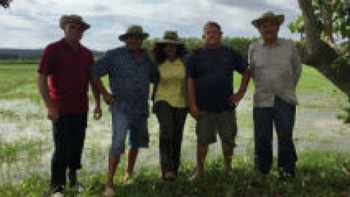 Aprendemos cómo se planta el arroz