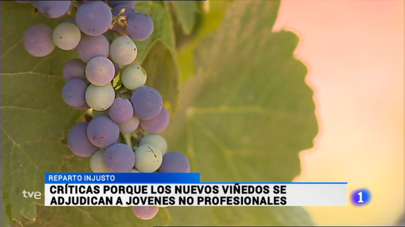 Telerioja en 2' - 12/07/16