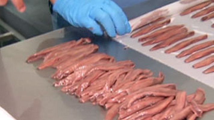 España Directo - Fabricando anchoas