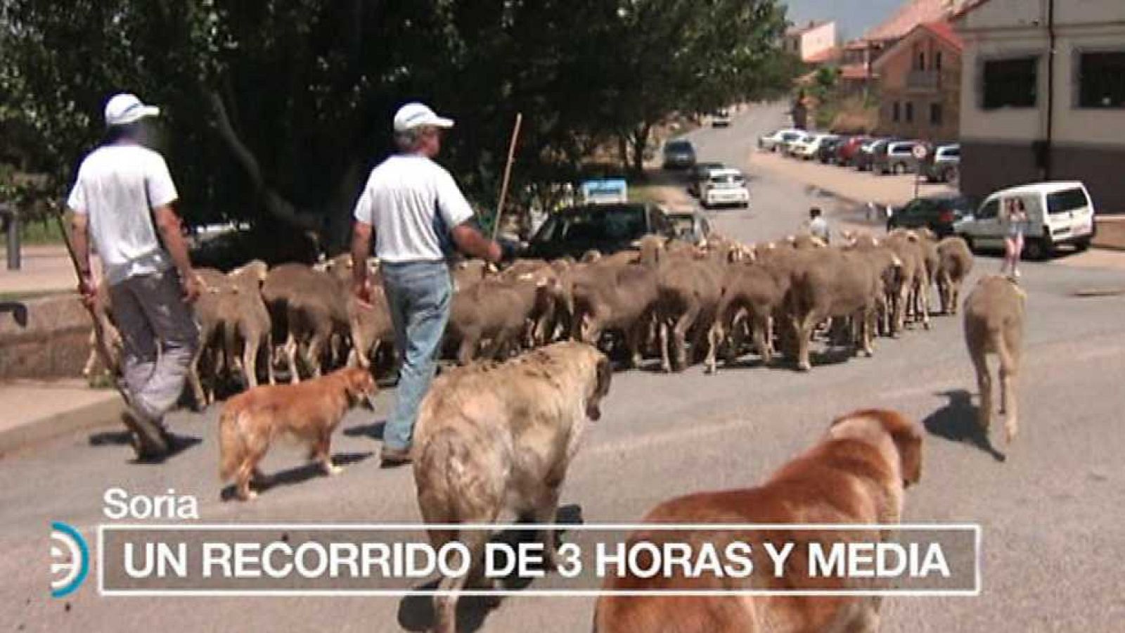 España Directo - 12/07/16 - ver ahora