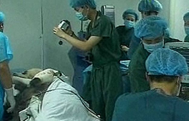 Ciencia y tecnología en Rtve.es - Operan de cataratas a un panda