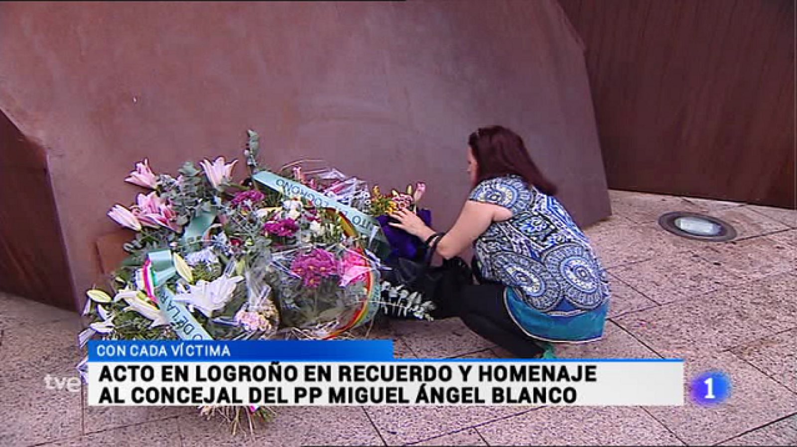 Informativo Telerioja - 13/07/16