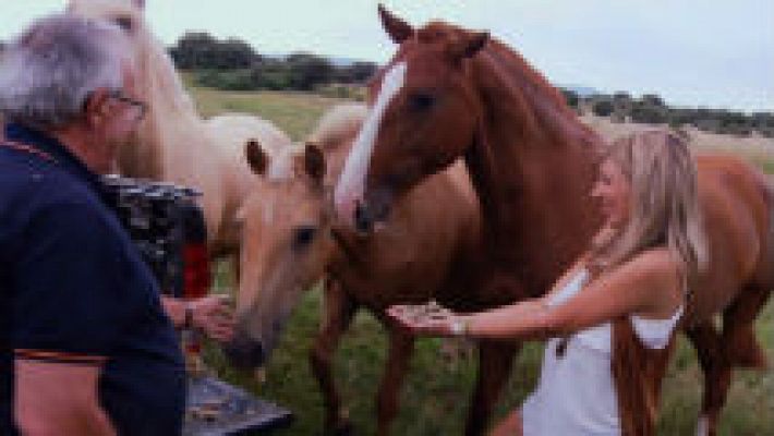 La mujer que silbaba a los caballos 