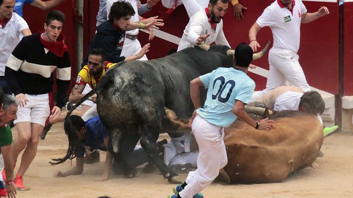 San Fermín - Dos toros se han caído en la entrada de la plaza creando peligro en el último encierro de San Fermín 2016