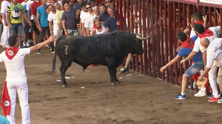 Correr, comer, nadar - Un toro polémico