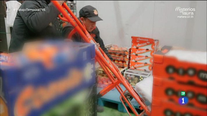 Trabajo temporal - Carlos Sobera tiene un pequeño accidente