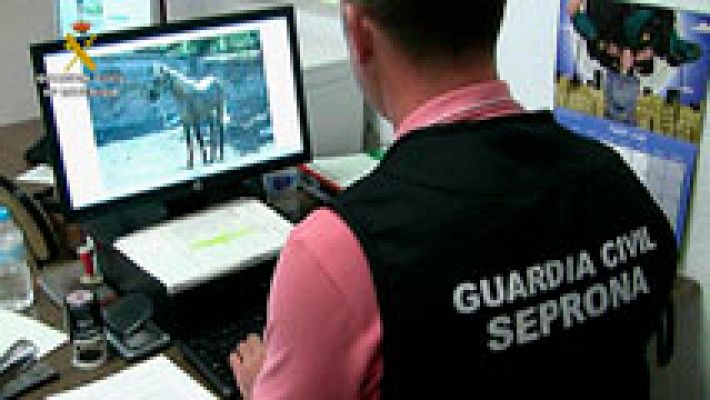 Telediario 1 - La Audiencia Provincial de Alicante pone en marcha un programa de reeducación para los condenados por maltrato animal