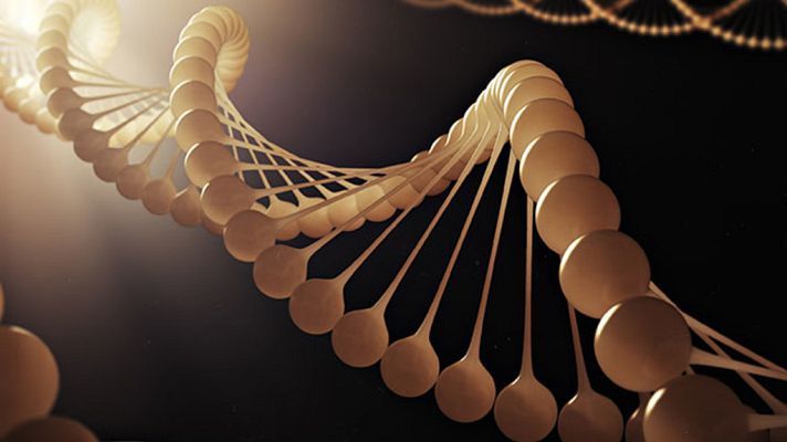 Otros documentales - Cuando los genes se mezclan con el ambiente inadecuado