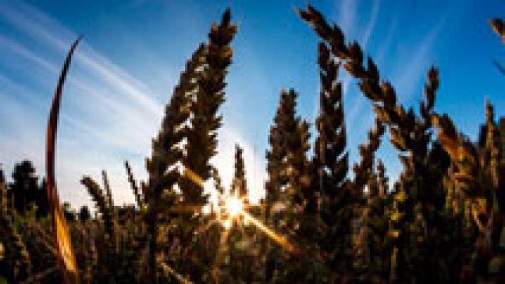 El tiempo - Se acerca la que podría ser la primera ola de calor del verano