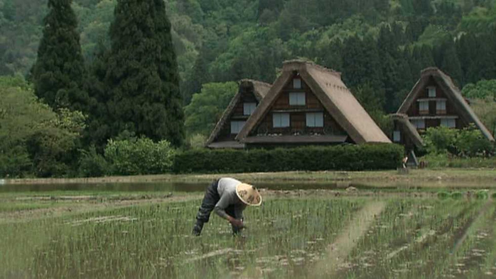 Grandes documentales - Patrimonio de la Humanidad: Aldeas históricas de Shirakawa-Go y Gokayama (Japón)