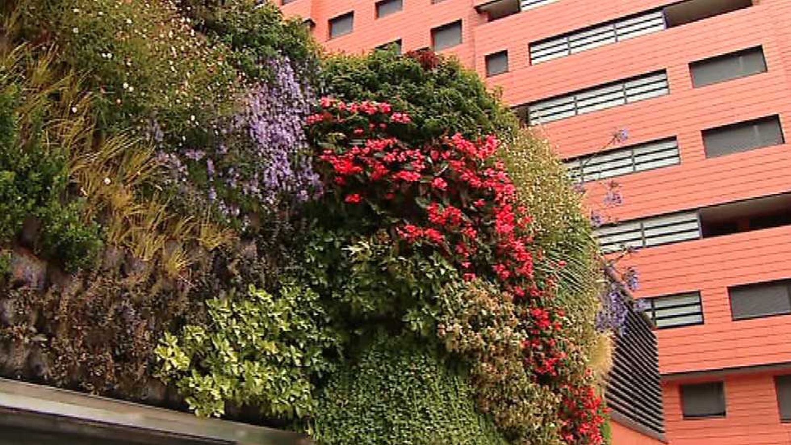 España en comunidad - 16/07/16 - ver ahora