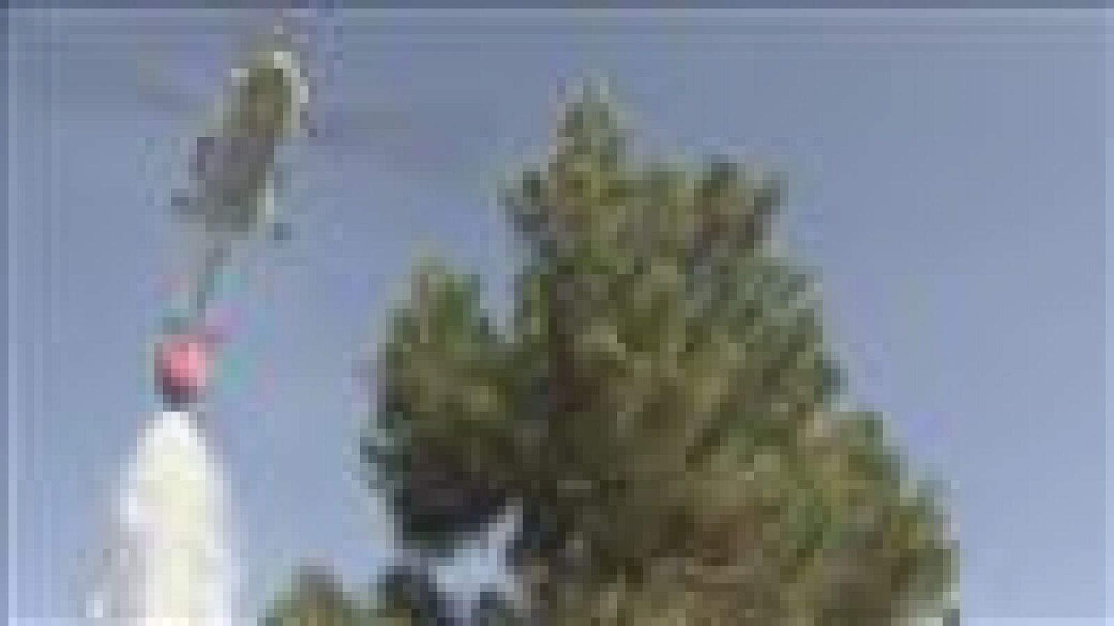 Telecanarias - 17/07/2016