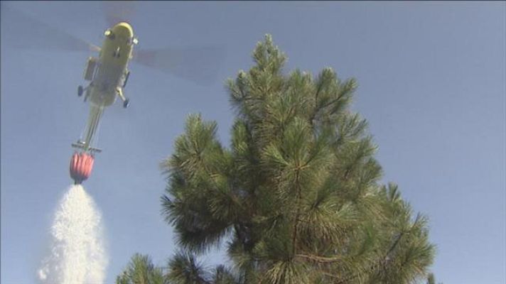 Telecanarias - Telecanarias - 17/07/2016