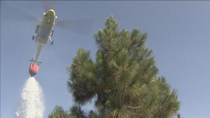  Telecanarias - 17/07/2016