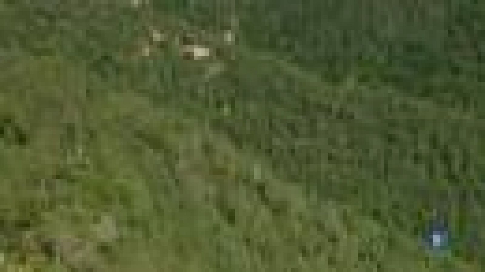 Simulacre de rescat de muntanya dels Bombers de la Generalitat