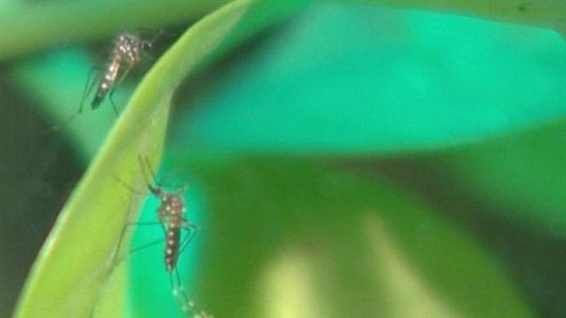  Canarias en 2' - 18/07/2016