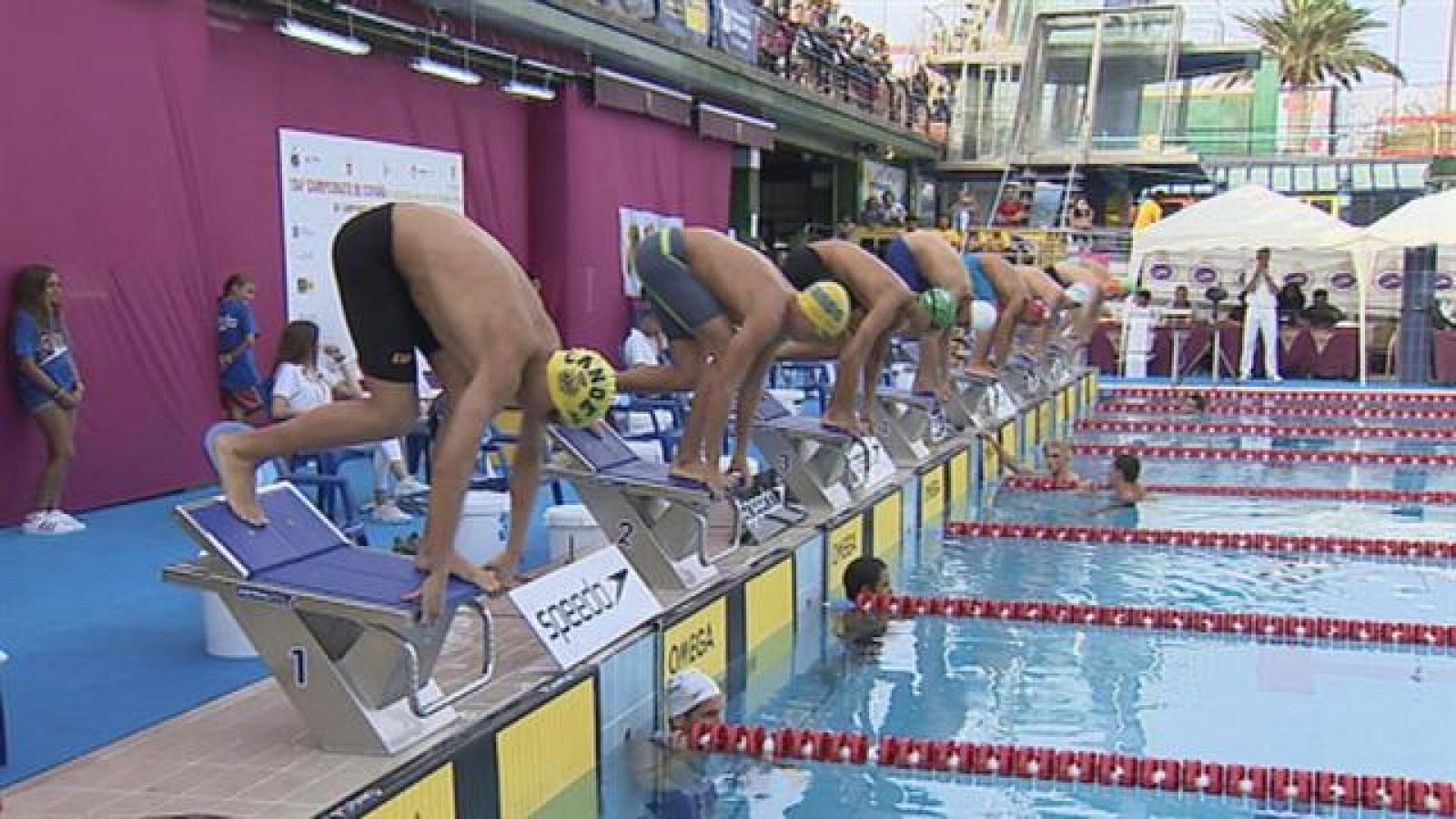 Sin programa: Campeonato de Natación | RTVE Play