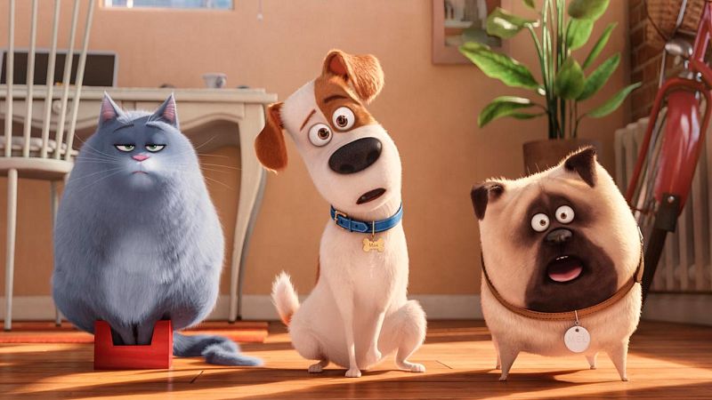 RTVE.es os ofrece un clip en primicia de 'Mascotas', de los creadores de 'Gru, mi villano favorito'