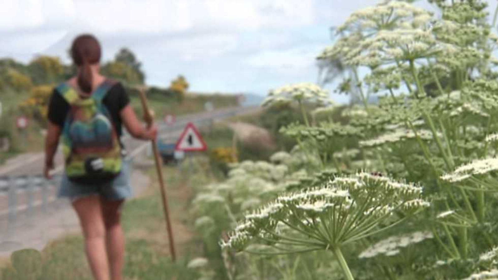 España Directo - 19/07/16 - ver ahora