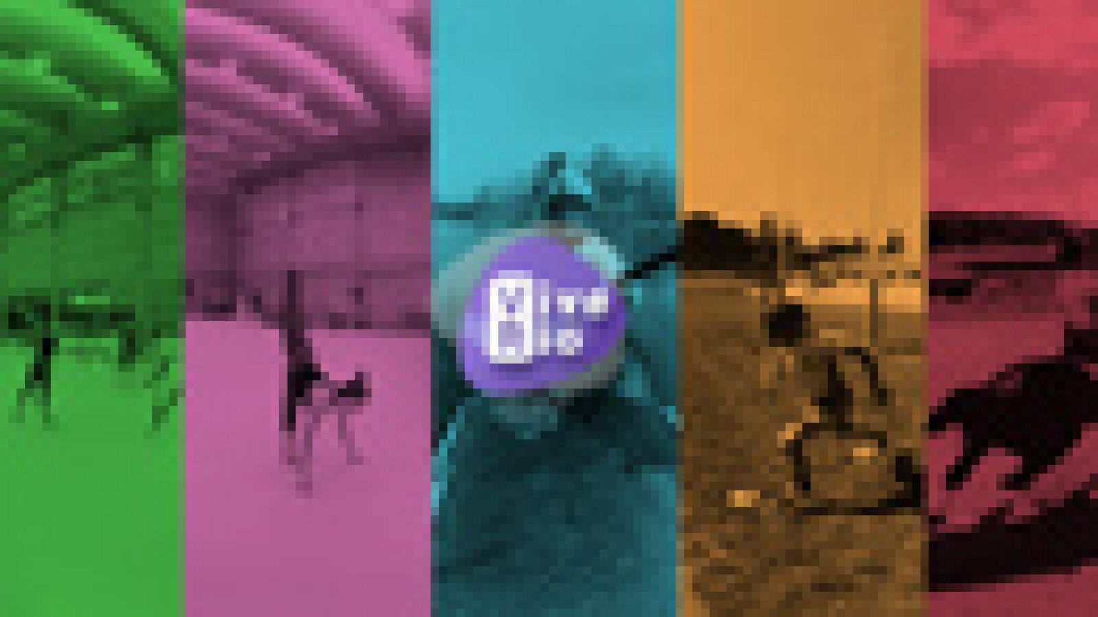 'Vive Río: Heroínas' | Ver