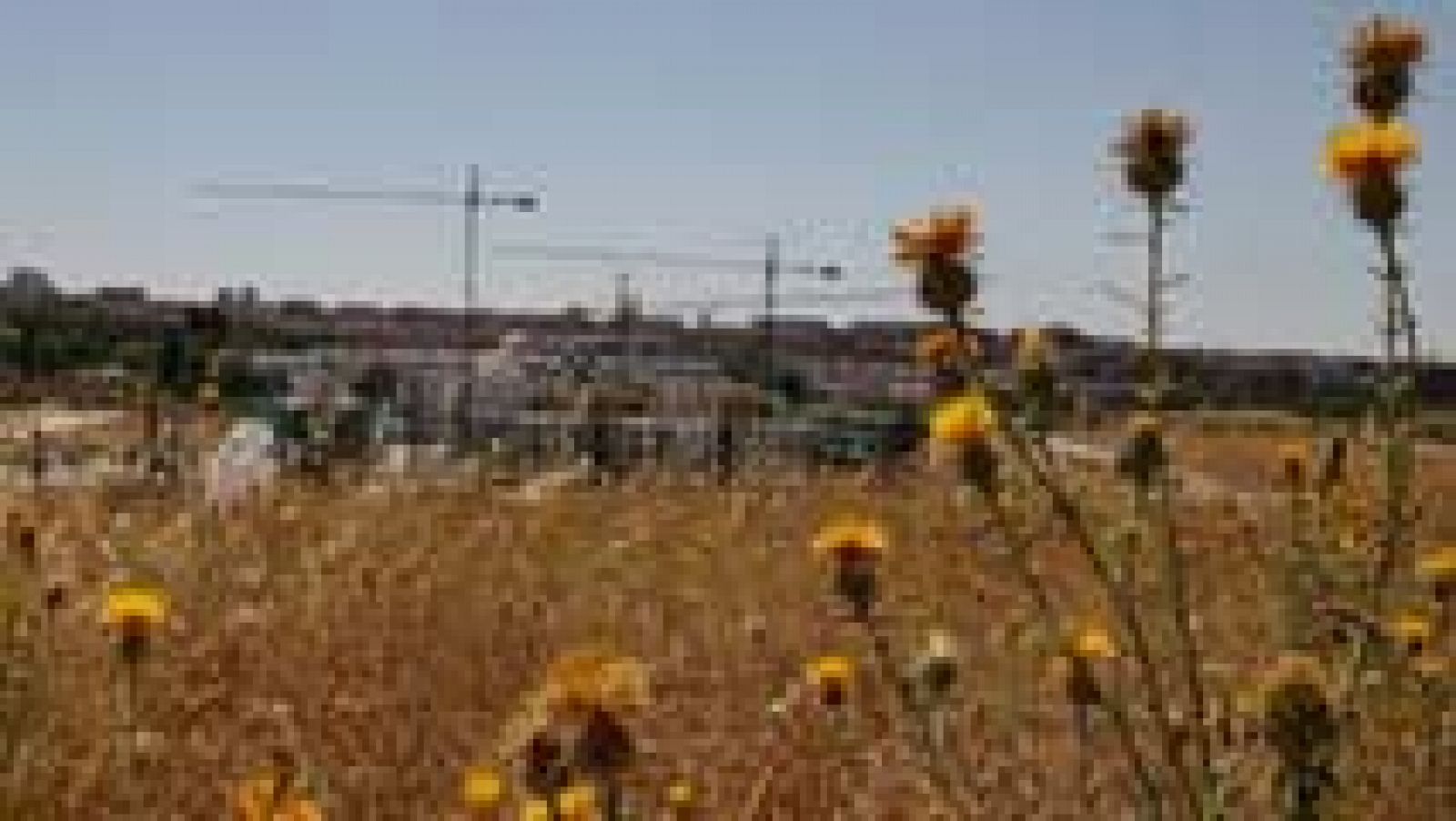 El Tiempo en la Comunidad de Madrid - 20/07/16