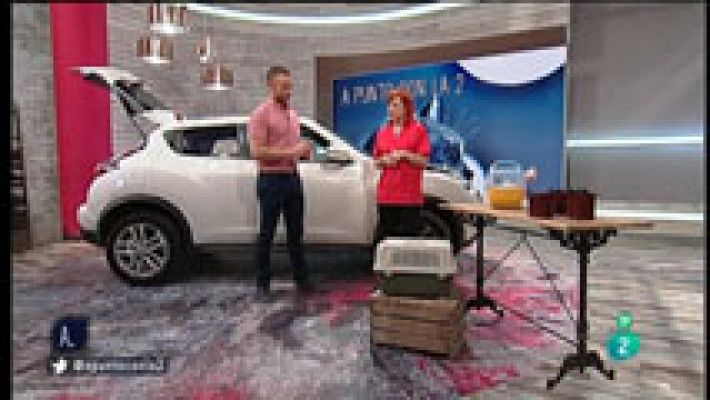 A punto con La 2 - Cómo transportar las mascotas