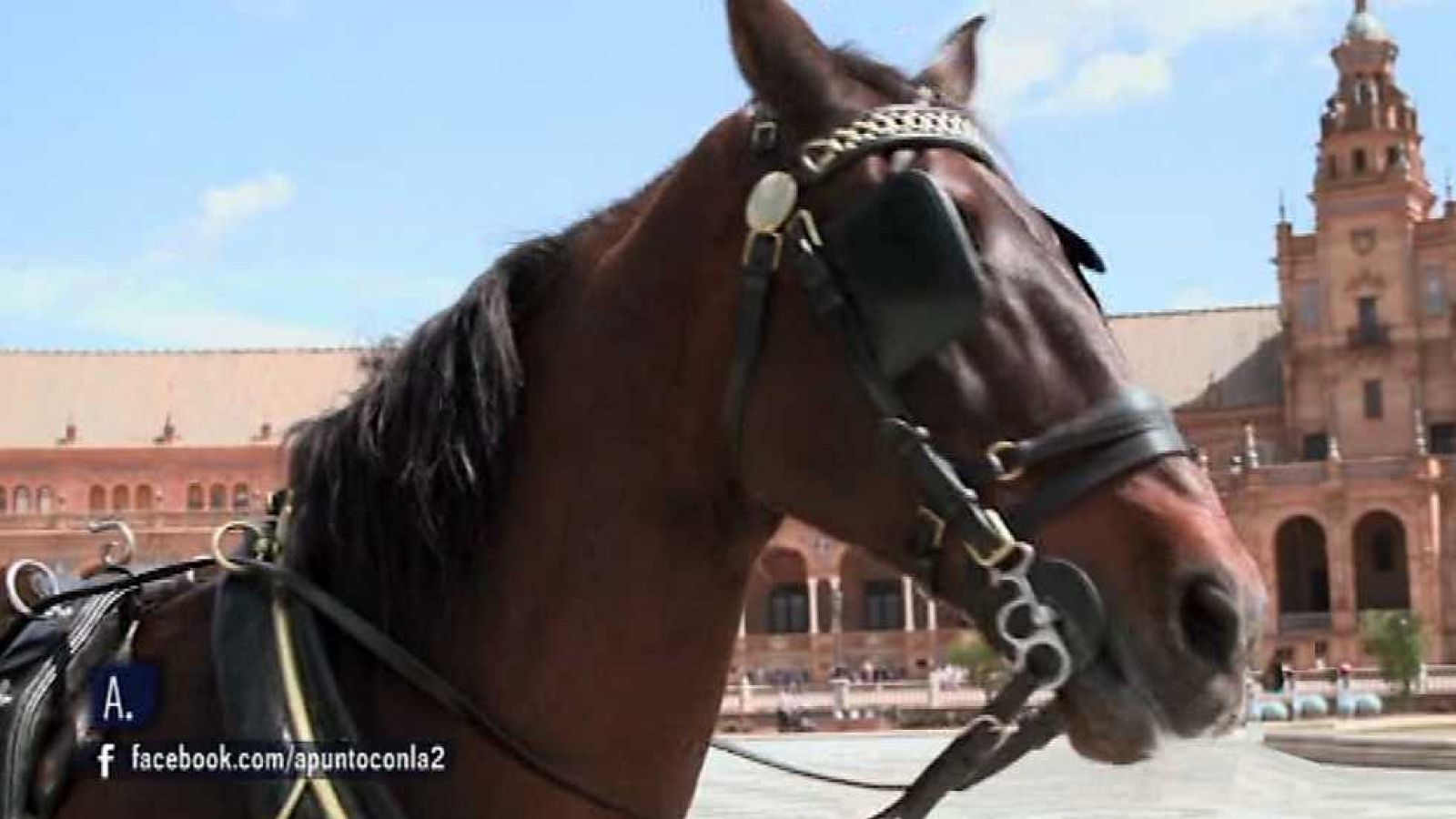 A punto con La 2 - 20/07/16 - ver ahora