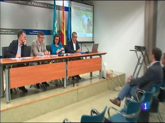 Panorama Regional 2 - 21/07/16