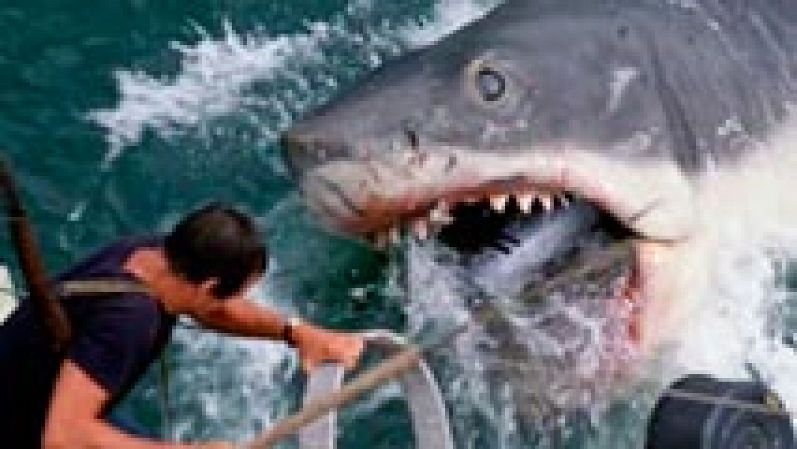 Días de cine: La secuencia de James Wan: 'Tiburón, de Steven Spielberg | RTVE Play