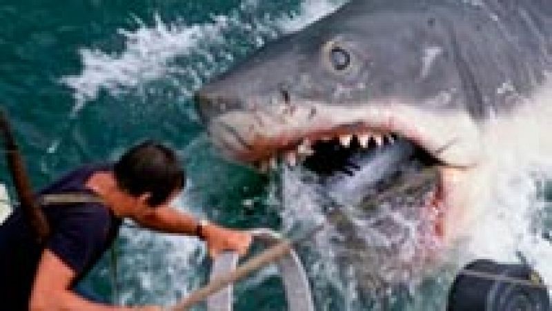 La secuencia de James Wan: 'Tiburón, de Steven Spielberg