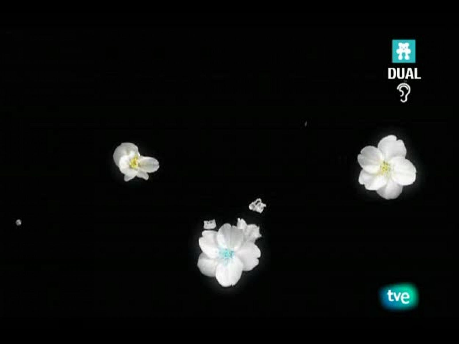 El jardín de los sueños - El Jardín de los Sueños | Ver