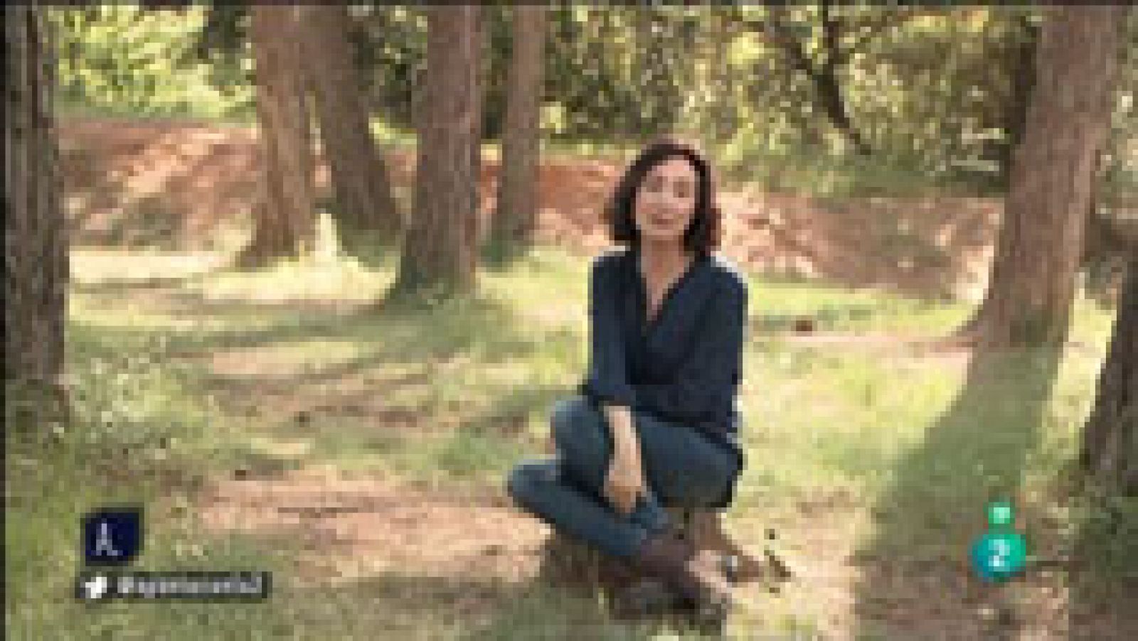 A punto con La 2 - A punto con Elsa - Cara de bienvenida