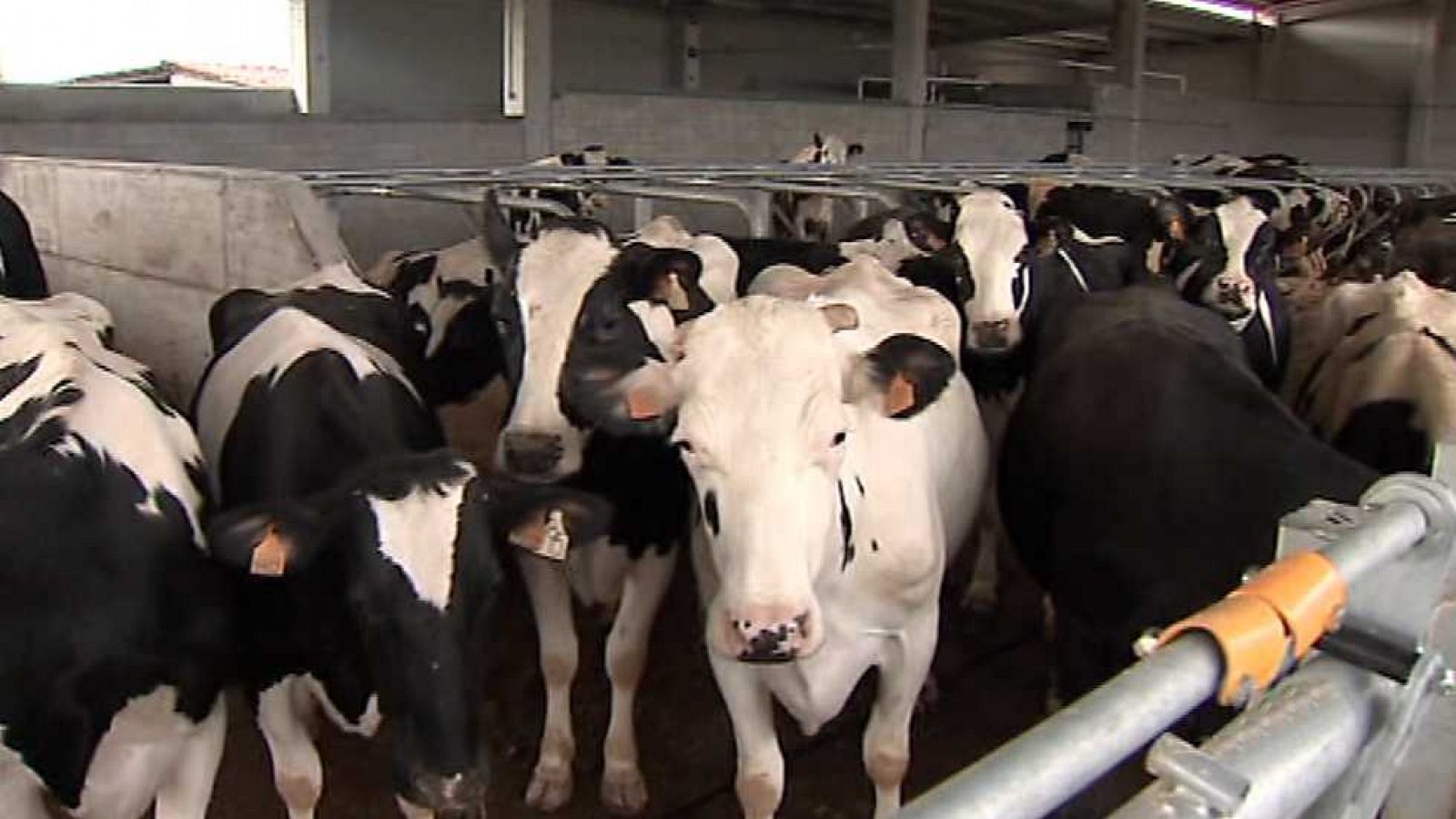 Agrosfera - 23/07/16 - ver ahora