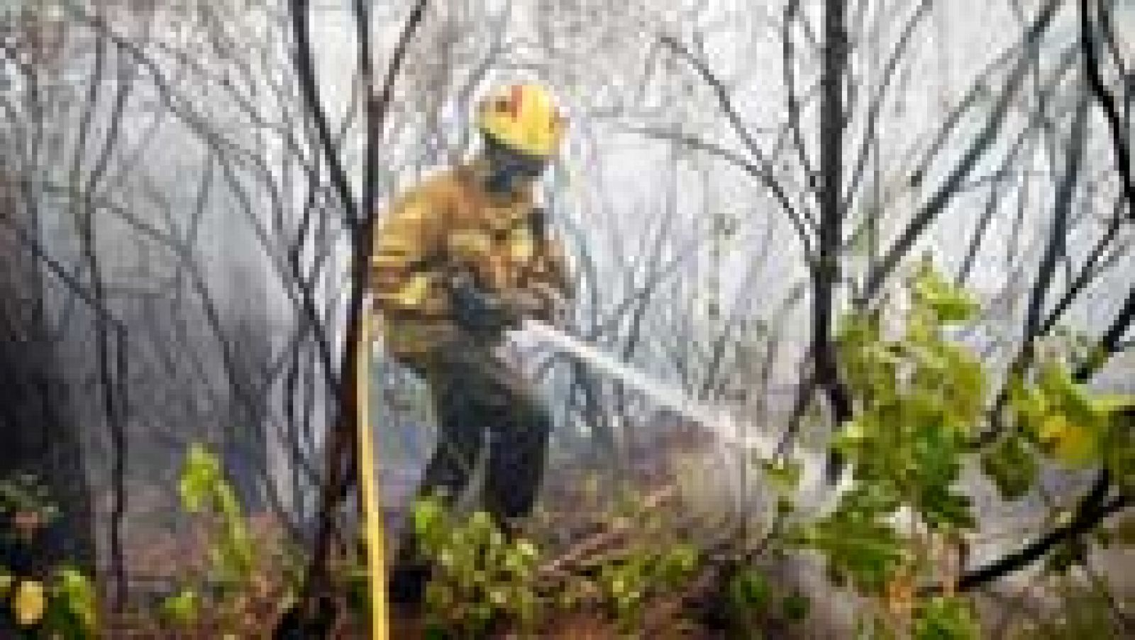 Telediario 1: Regresan a sus casas los 310 vecinos desalojados por el incendio de Blanes | RTVE Play