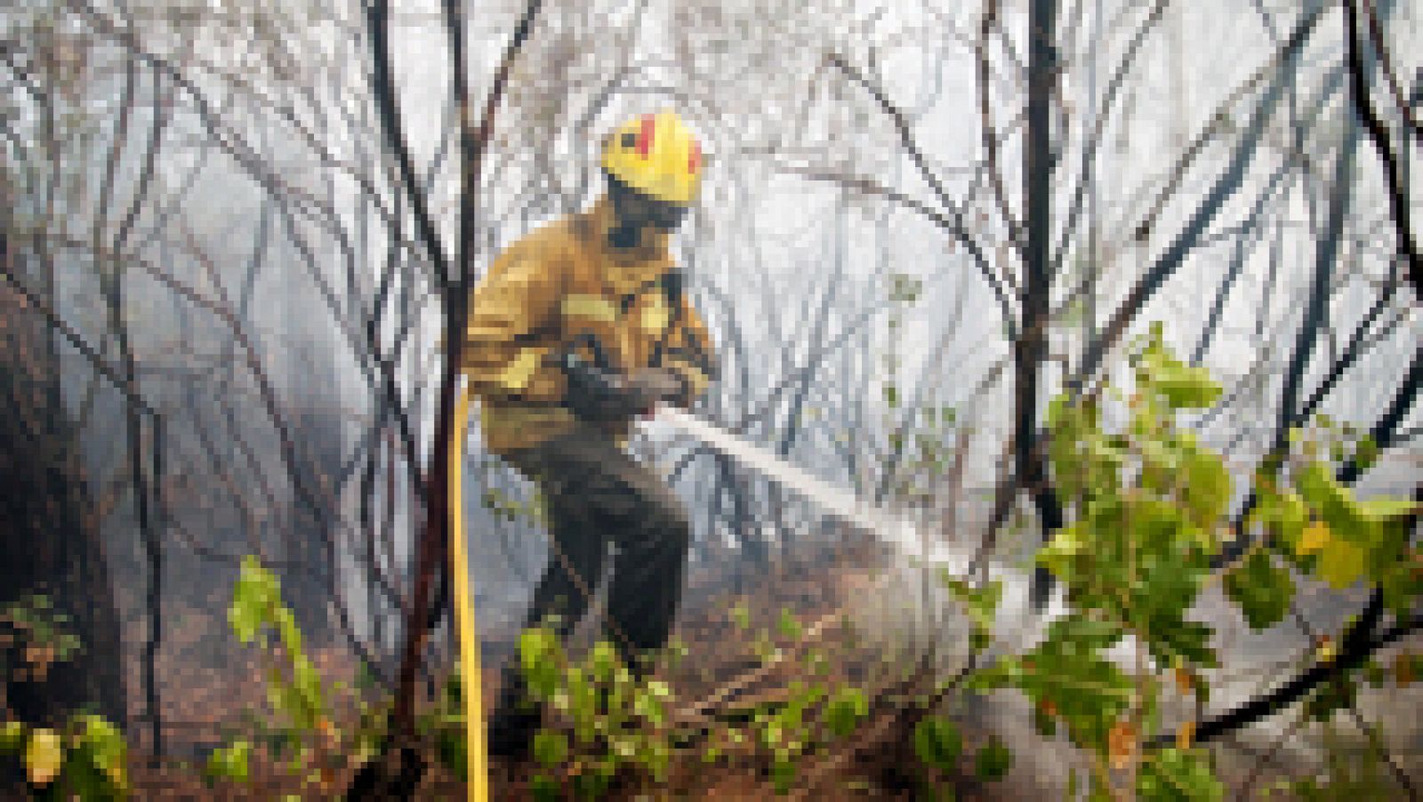 Informativo 24h: El incendio de Blanes está en vías de control y los evacuados podrán volver a sus casas | RTVE Play