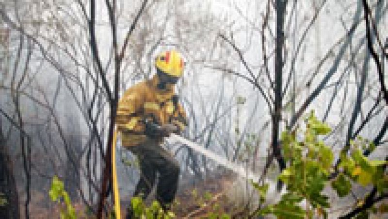 En Blanes los agentes rurales evalúan las consecuencias de un incencidio que ha quemado casi 27 hectáreas