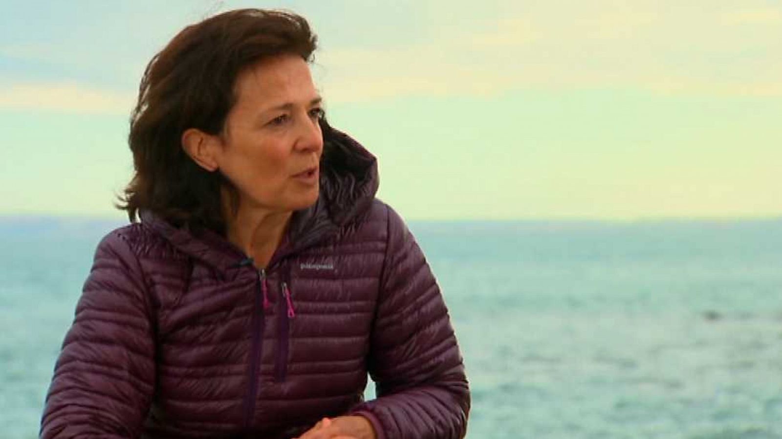 Olímpicos valencianos - Episodio 16: El Judo en la memoria - ver ahora