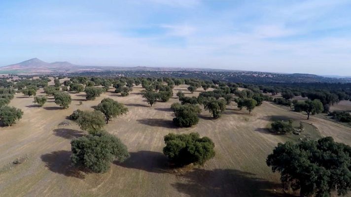 Red Natura 2000 - Montes de Toledo