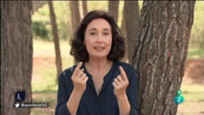 A punto con La 2 - La bienvenida exprés