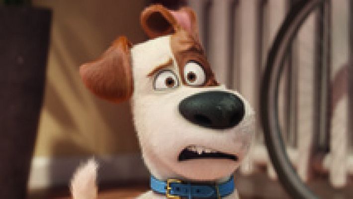 Cultura en Rtve.es - Tráiler de 'Mascotas'