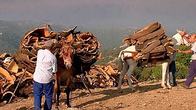 Vida al límite (verano)