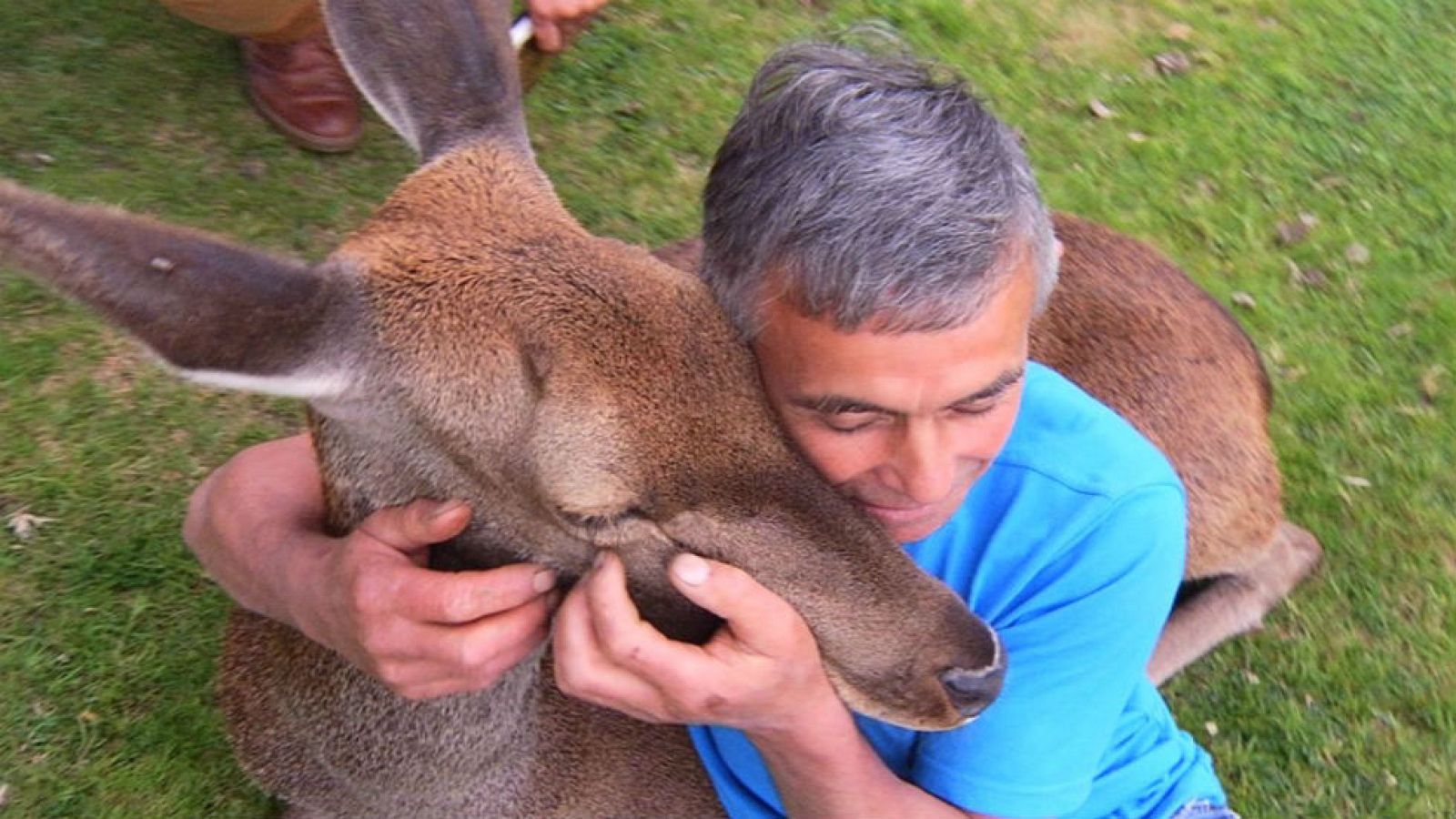 Bambi, un amigo fiel