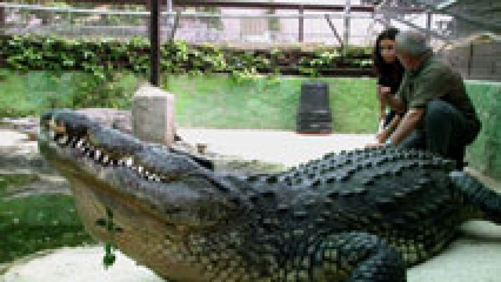 Comando al Sol - Sangre y arena - ver ahora