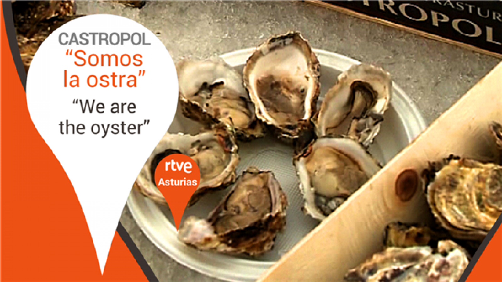 Somos la ostra - Castropol, Asturias - We are the oyster.