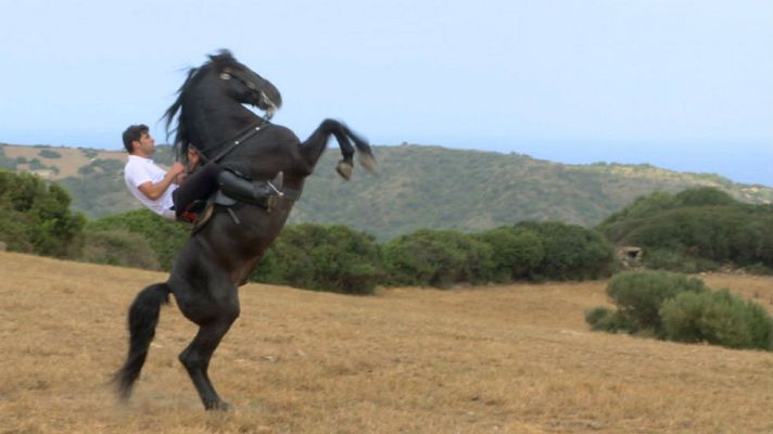 Aquí la Tierra - Caballos que brillan con luz propia