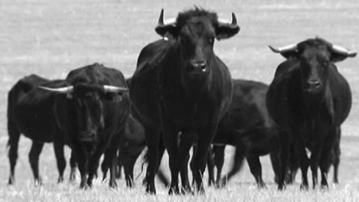 Encastes - Graciliano