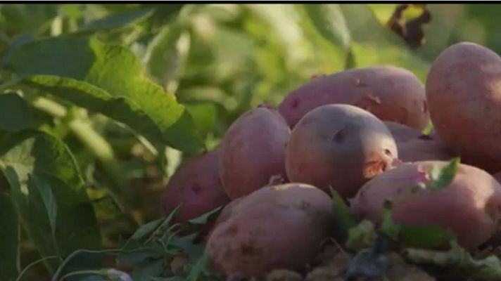 Red Natura 2000 - Serra Grossa, con Jordi y sus huertos ecológicos - avance