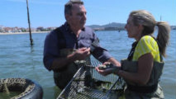 Aquí la Tierra - Un huerto en el mar