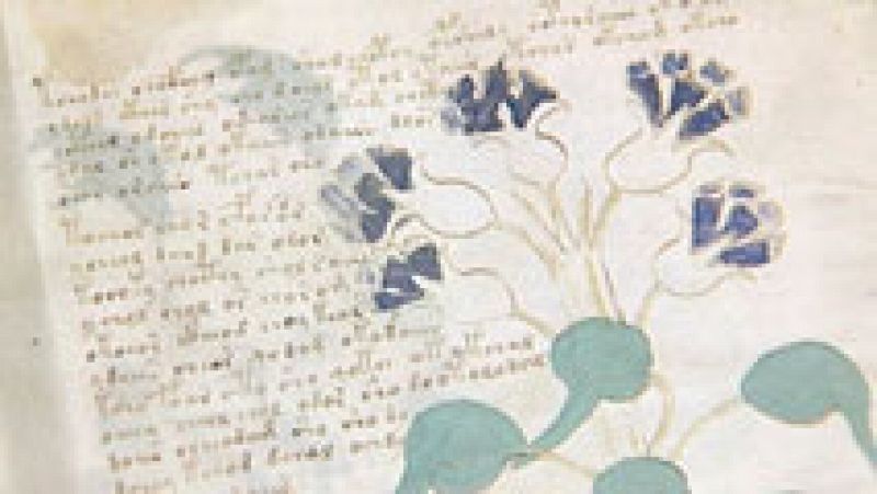 Una pequeña editorial burgalesa realiza 898 copias del Códice Voynich 