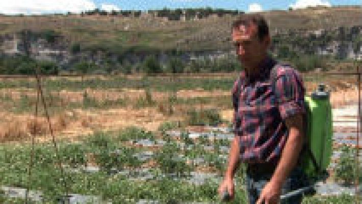 Aquí la Tierra - ¿Cómo conseguir una huerta sana?